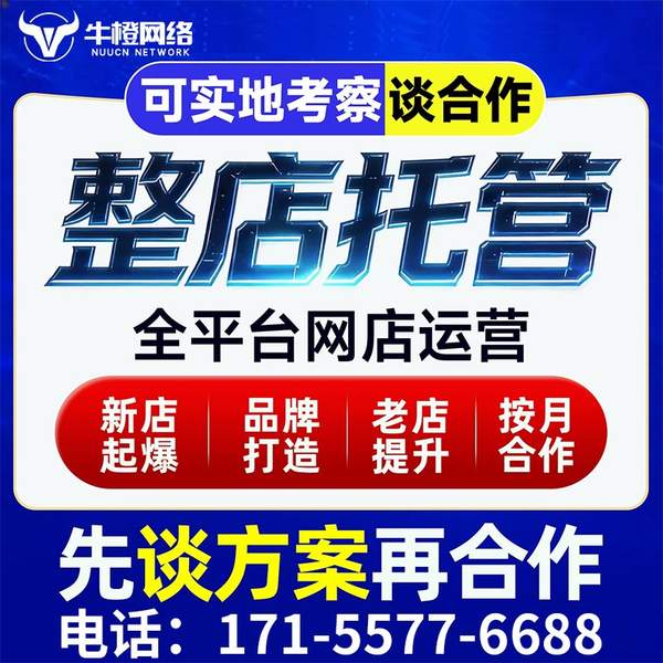 香港电商代运营