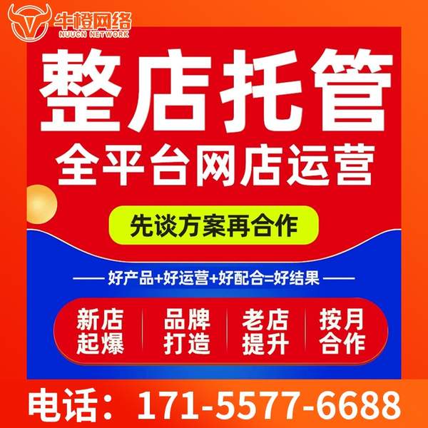 香港电商代运营