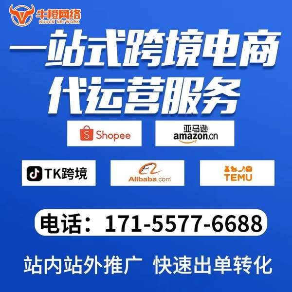 香港电商代运营